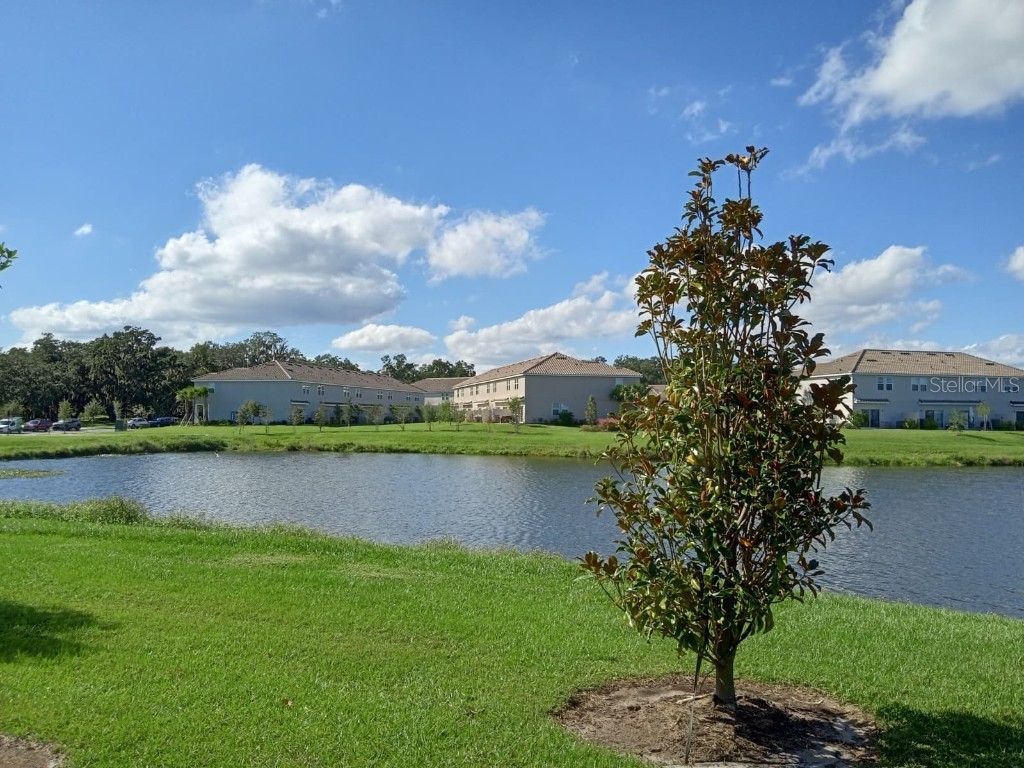 3604 Landing Net Drive Kissimmee FL 34746 O6356725 image5