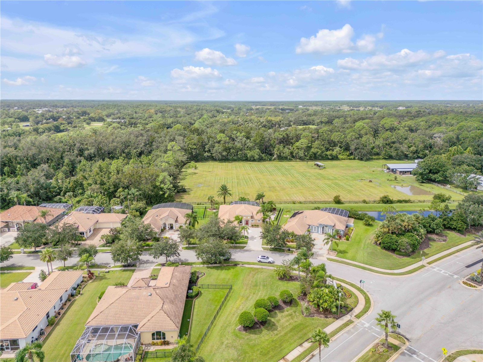 3604 Maribella Drive New Smyrna Beach FL 32168 NS1088040 image59