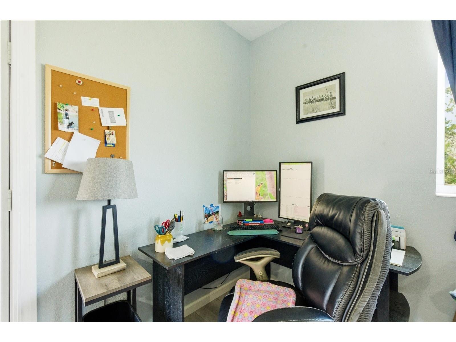3605 Eagle Nest Drive Hernando Beach FL 34607 TB8520896 image22