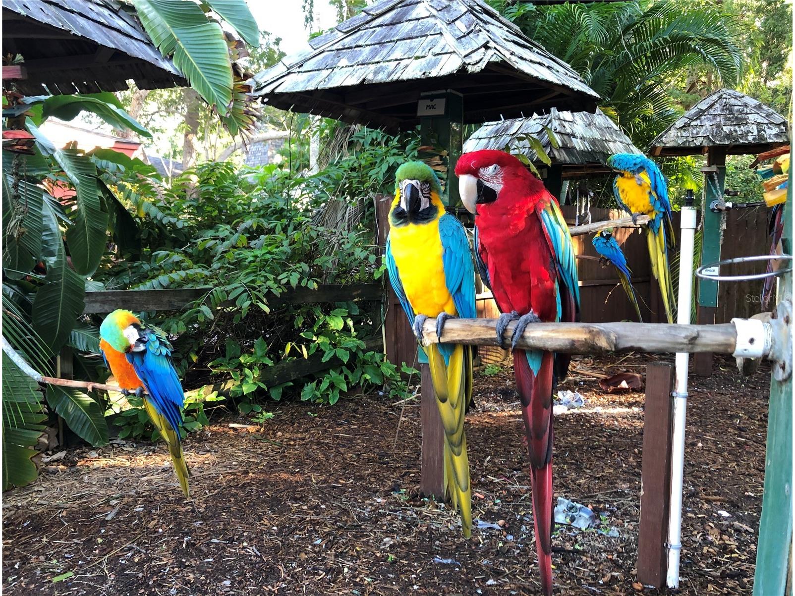 3605 Iroquois Avenue Sarasota FL 34234 A4655243 image41