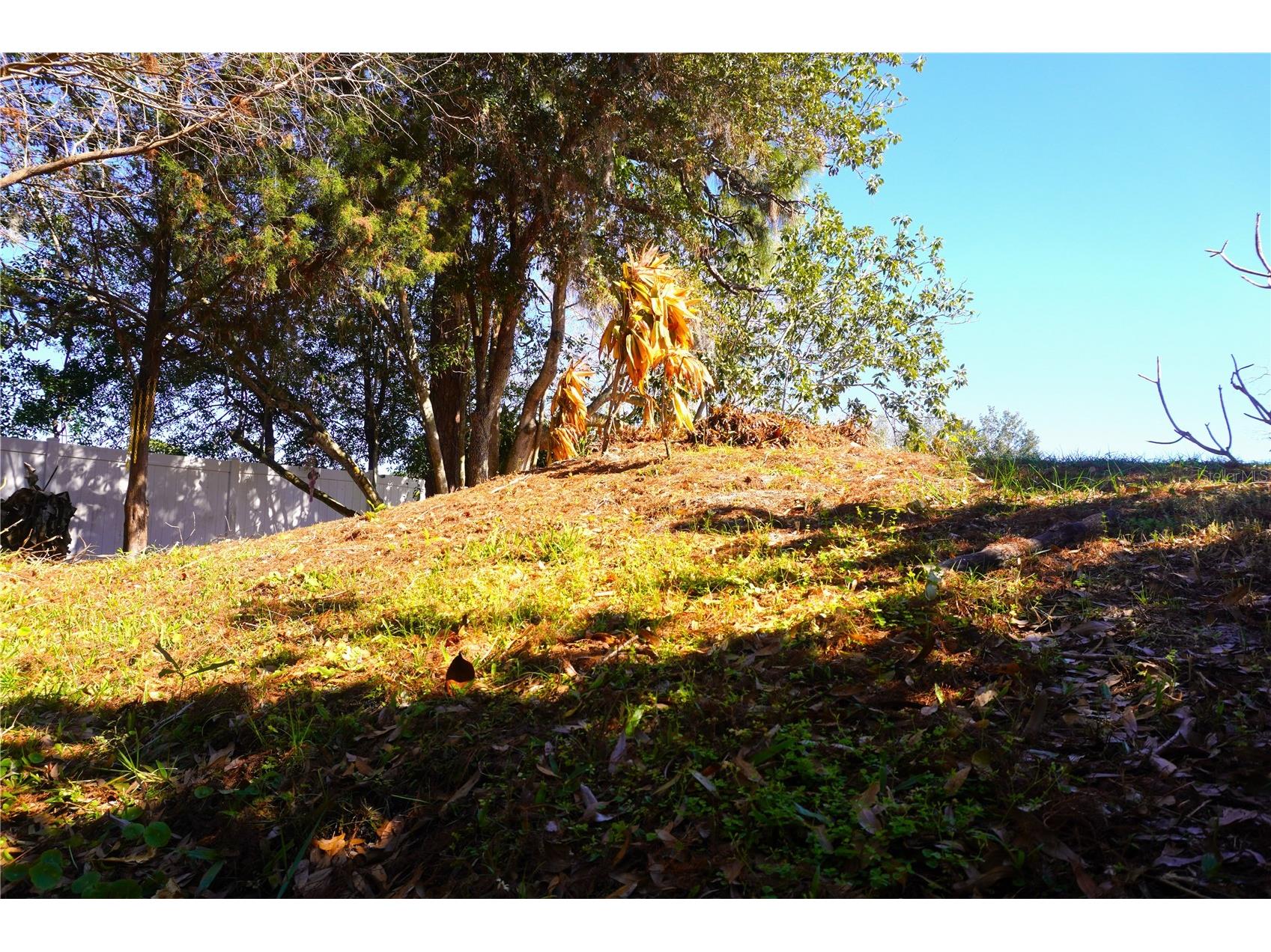 3605 Late Morning Kissimmee FL 34744 S5143710 image13