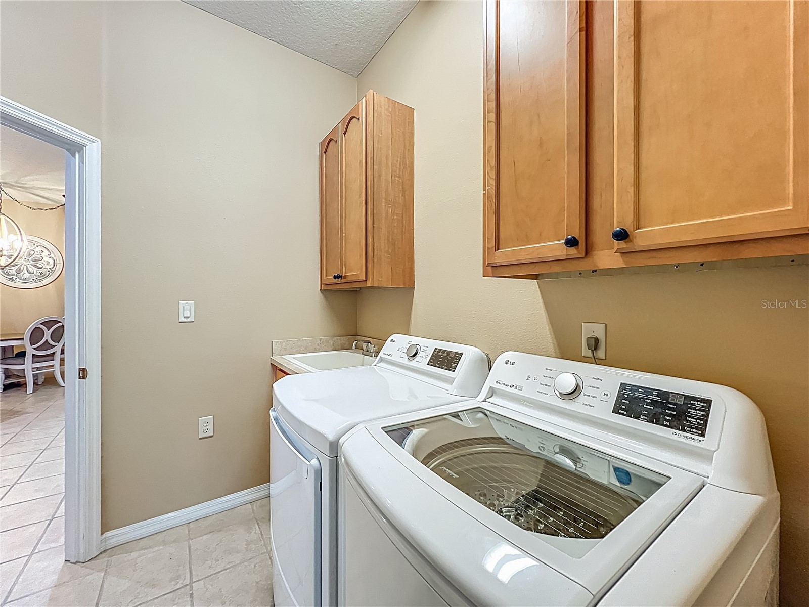 3605 Mount Hope Loop Leesburg FL 34748 G5105434 image37