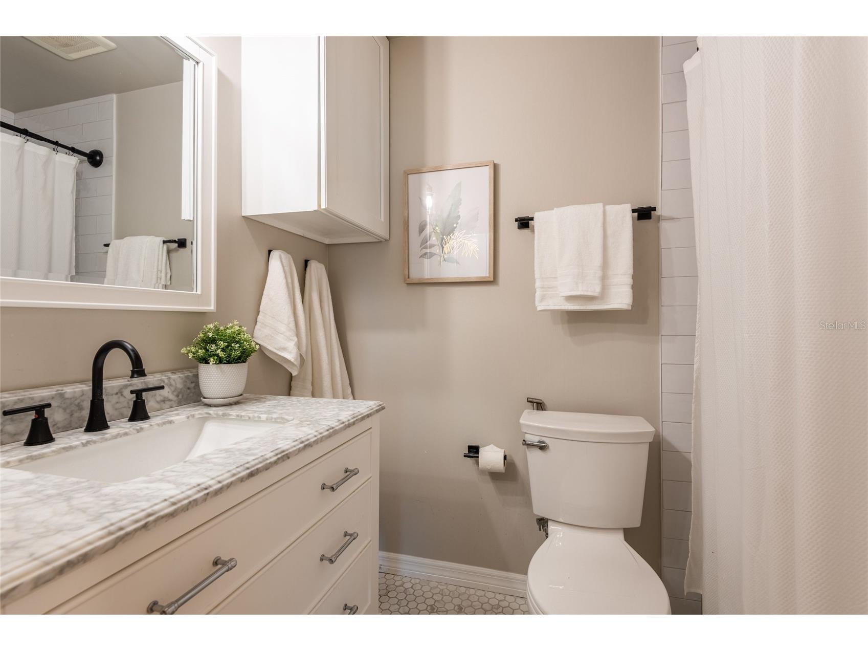 3605 Schefflera Road Tampa FL 33618 TB8512164 image29
