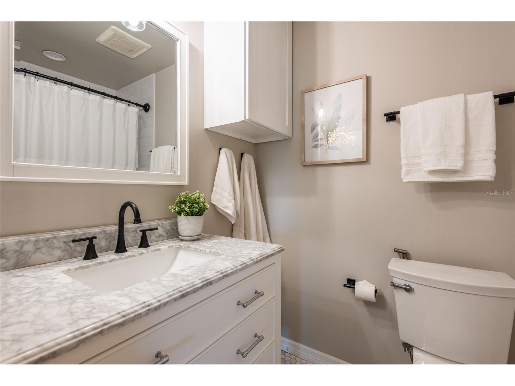 3605 Schefflera Road Tampa FL 33618 TB8512164 image30