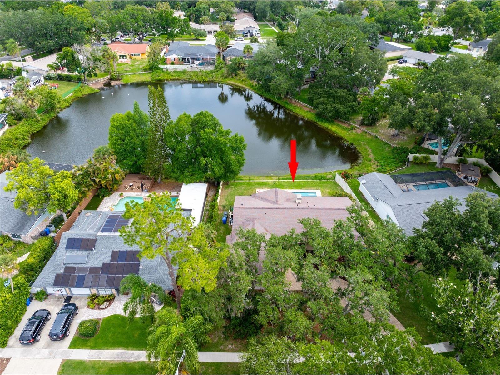 3605 Schefflera Road Tampa FL 33618 TB8512164 image38