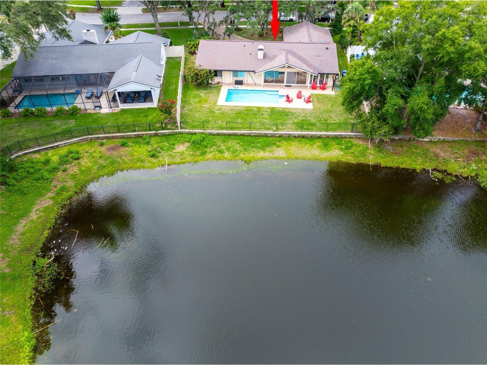 3605 Schefflera Road Tampa FL 33618 TB8512164 image39