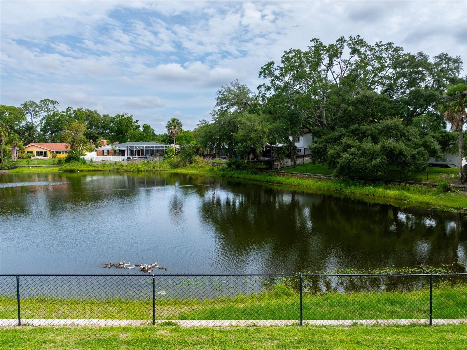 3605 Schefflera Road Tampa FL 33618 TB8512164 image46