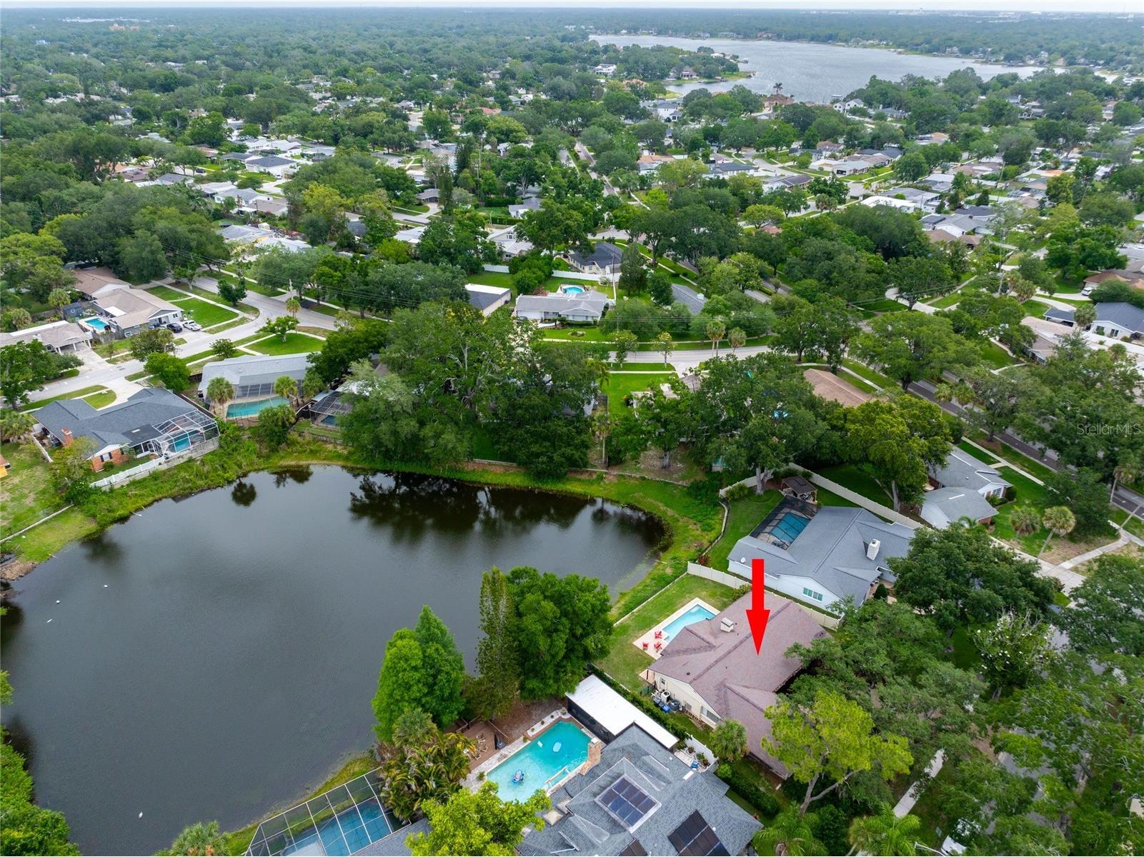3605 Schefflera Road Tampa FL 33618 TB8512164 image49