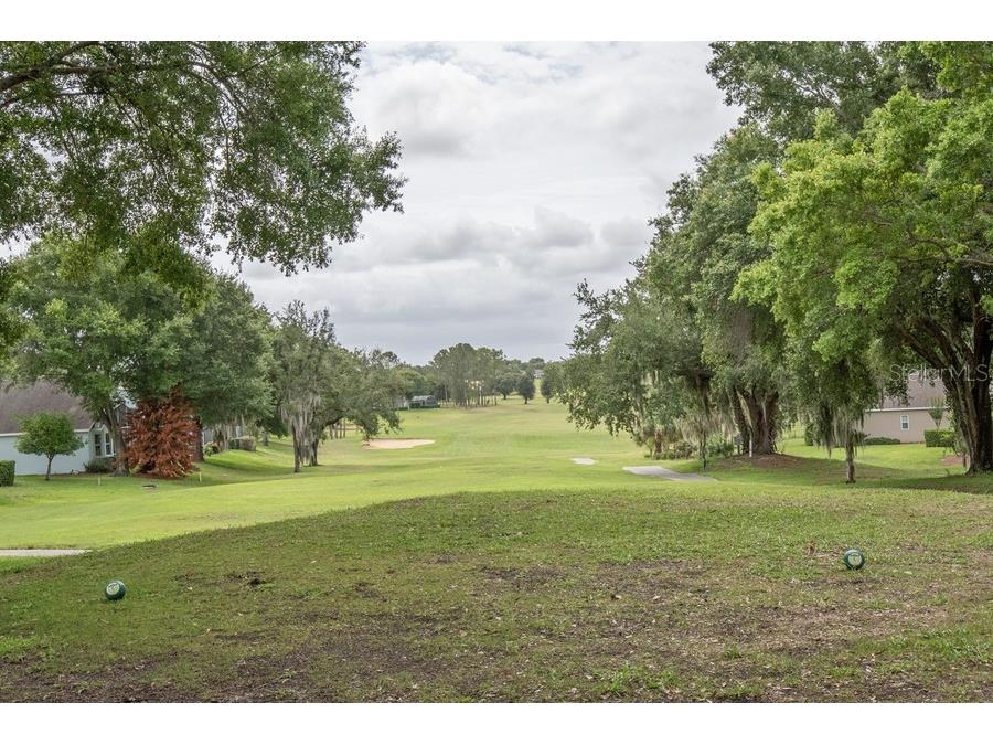 3605 Westerham Dr Clermont FL 34711 G5113235 image28