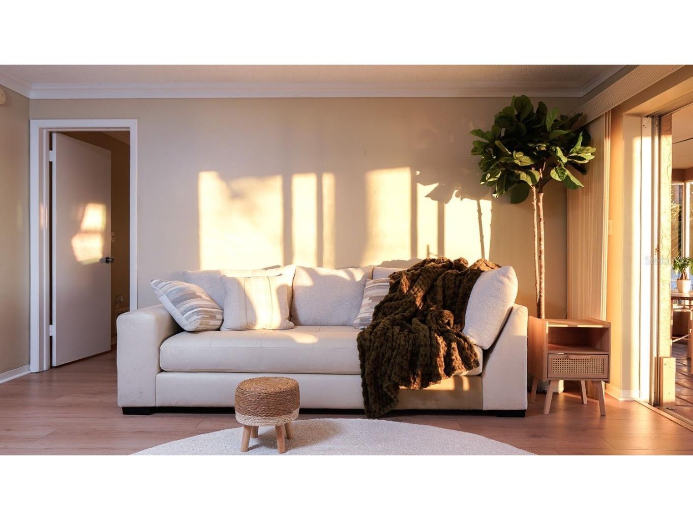 3606 Belle Vista Drive E Saint Pete Beach FL 33706 TB8389739 image6