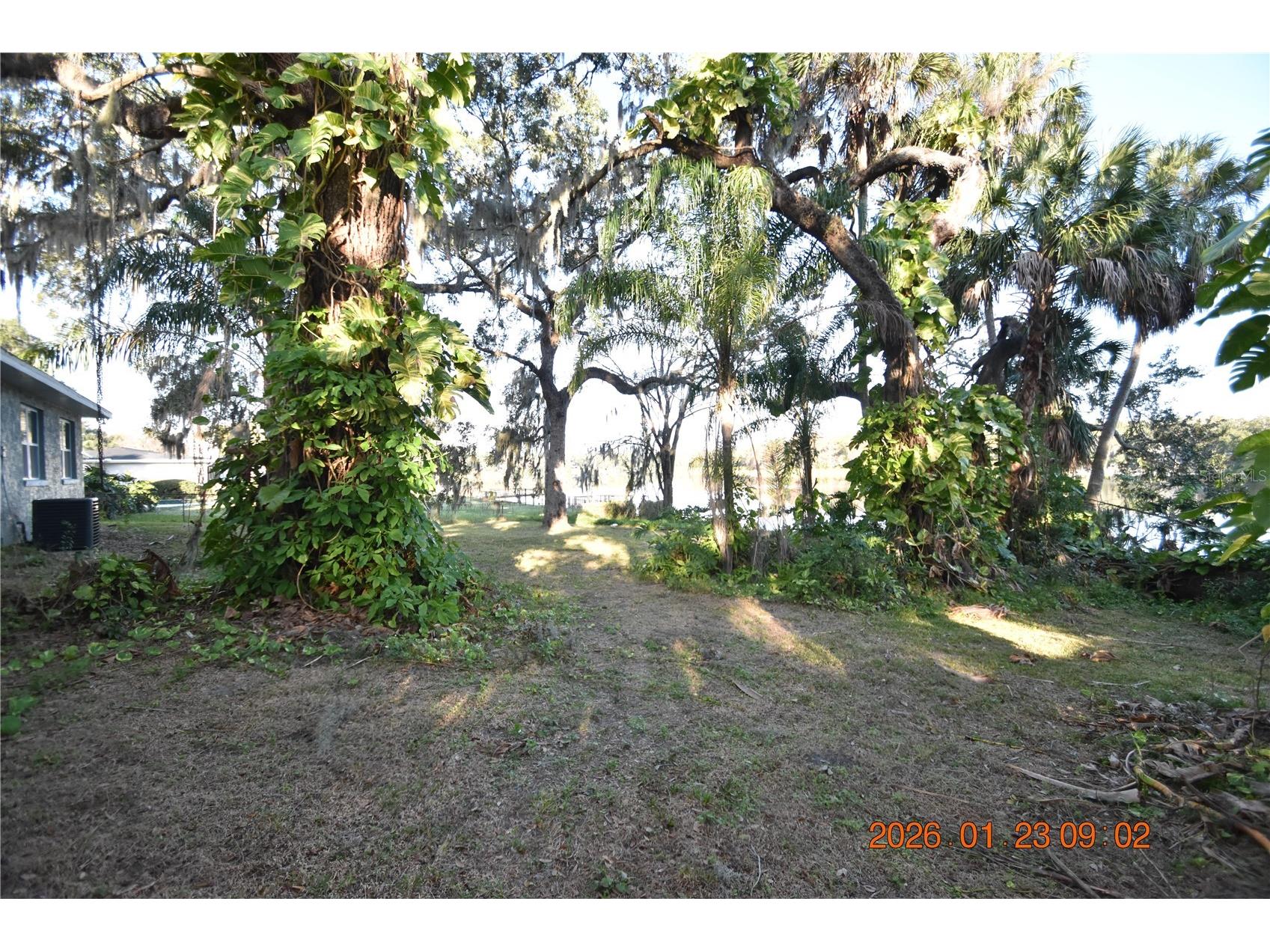 3606 River Grove Drive Tampa FL 33610 TB8472119 image41