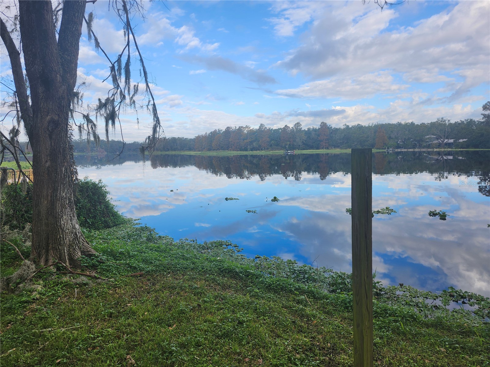 3606 River Grove Drive Tampa FL 33610 W7882573 image17