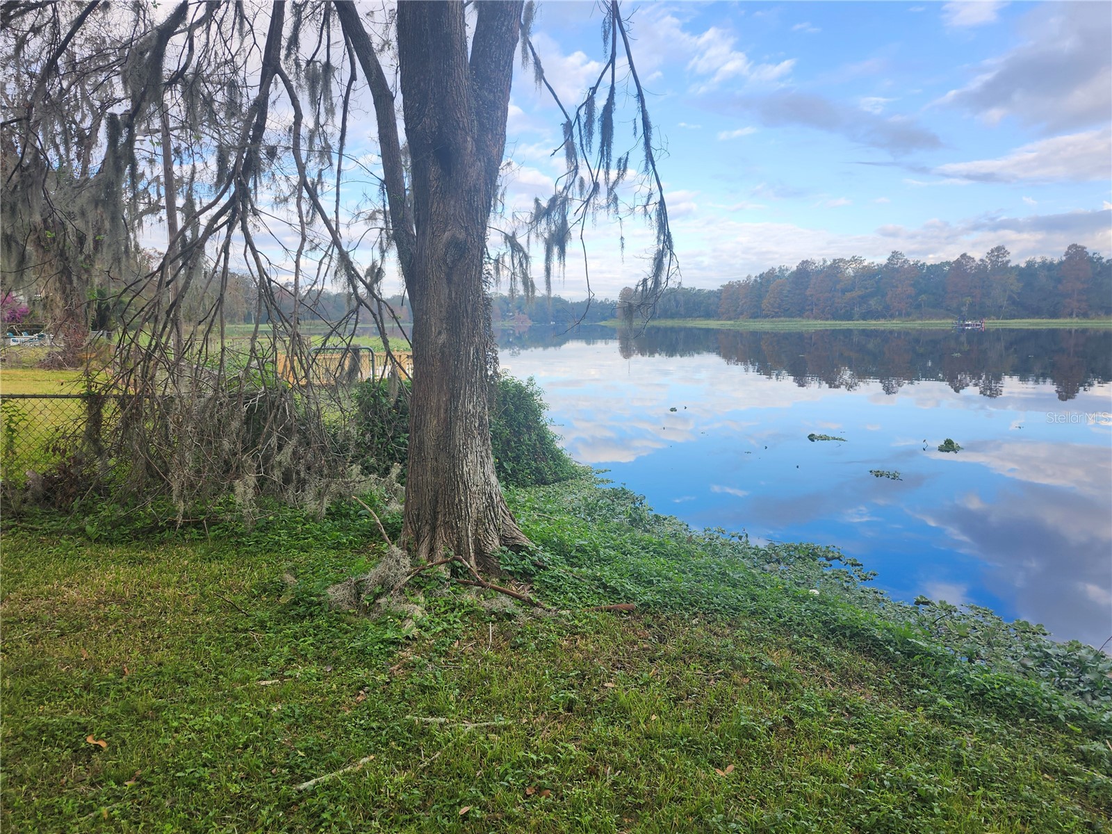 3606 River Grove Drive Tampa FL 33610 W7882573 image3