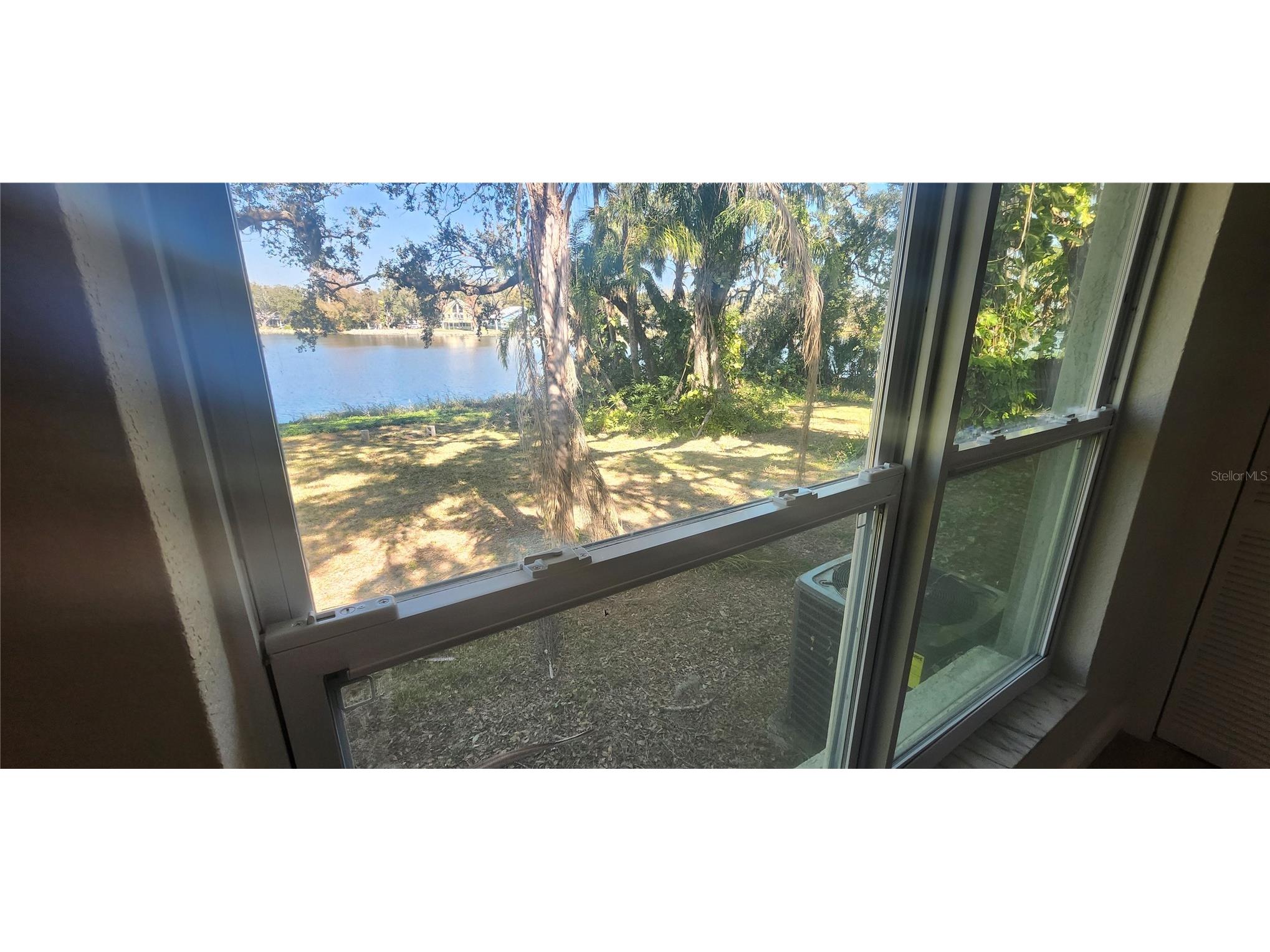 3606 River Grove Drive Tampa FL 33610 W7882573 image35