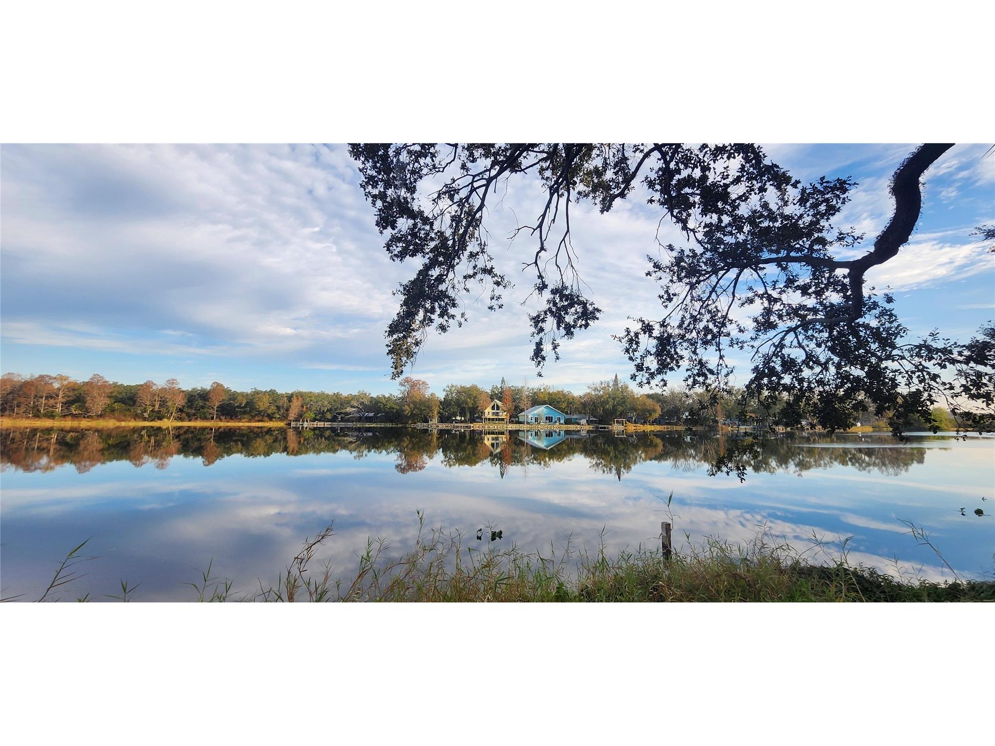 3606 River Grove Drive Tampa FL 33610 W7882573 image40