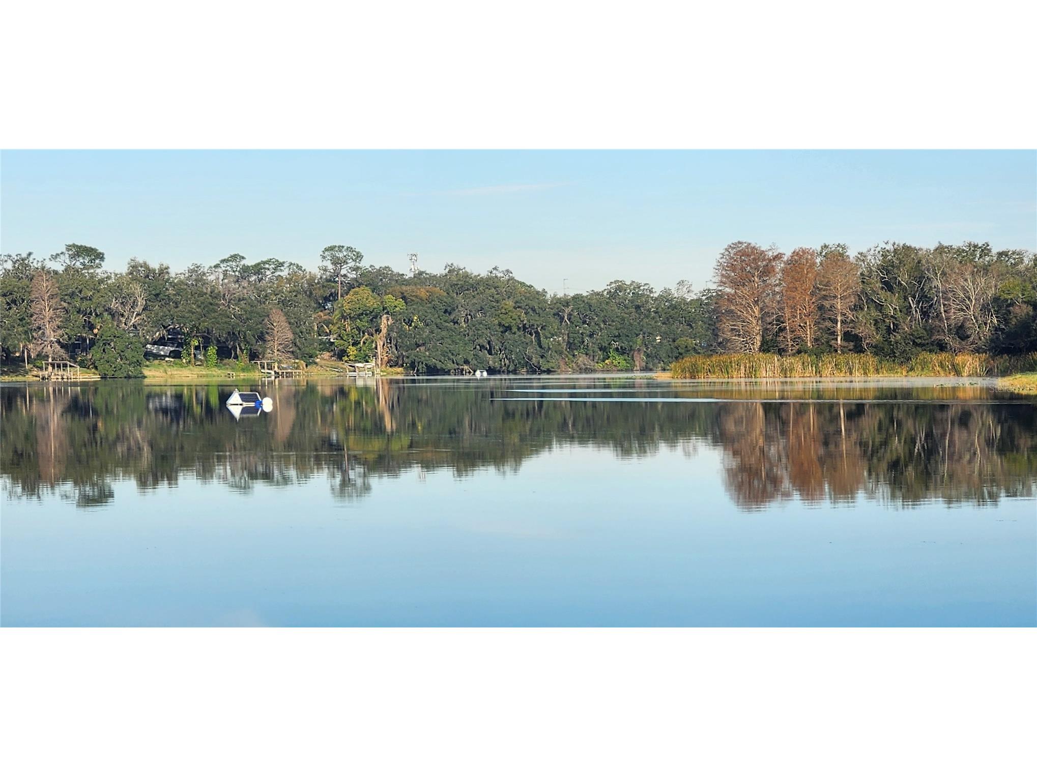 3606 River Grove Drive Tampa FL 33610 W7882573 image41