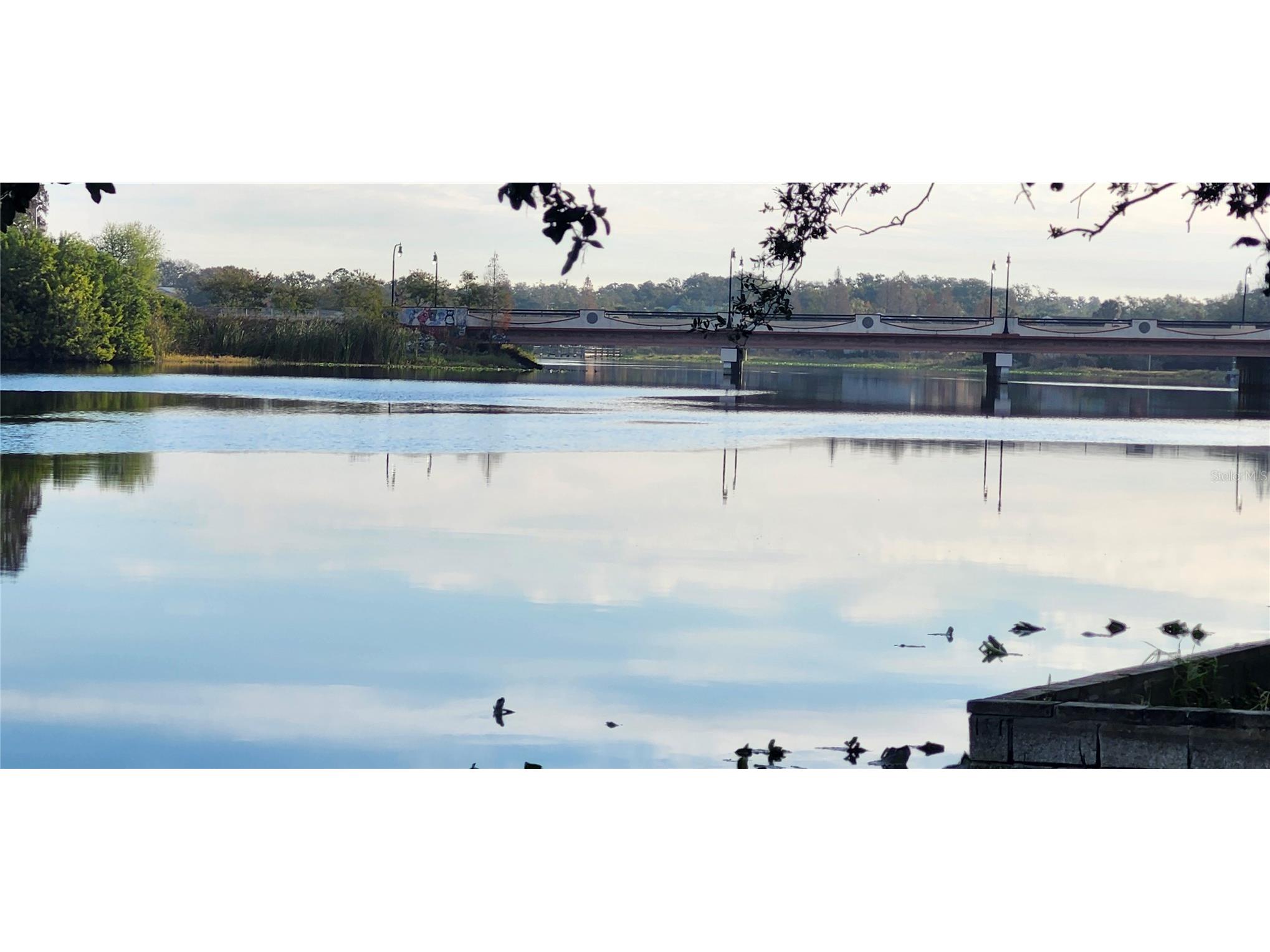 3606 River Grove Drive Tampa FL 33610 W7882573 image42