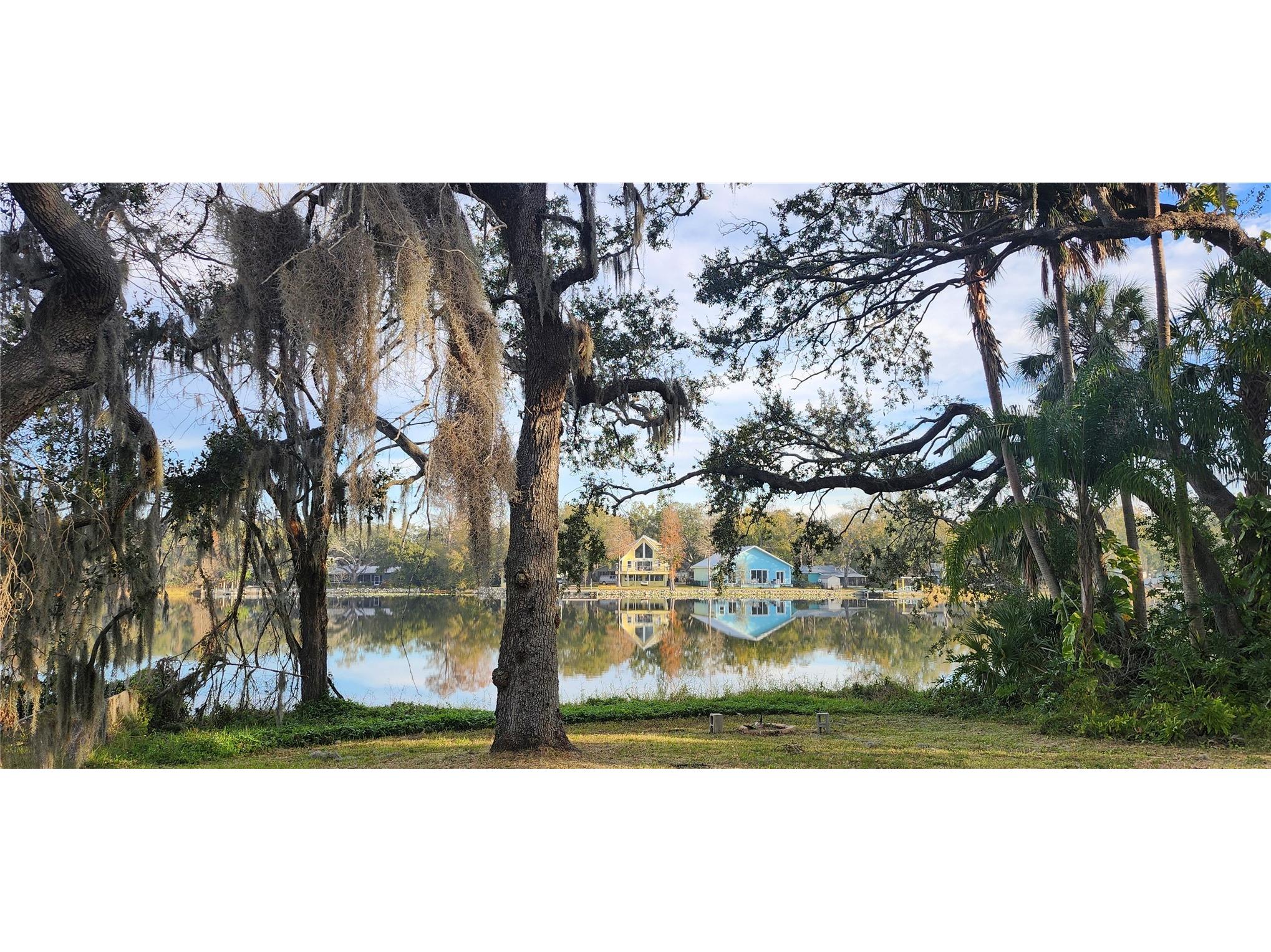 3606 River Grove Drive Tampa FL 33610 W7882573 image45