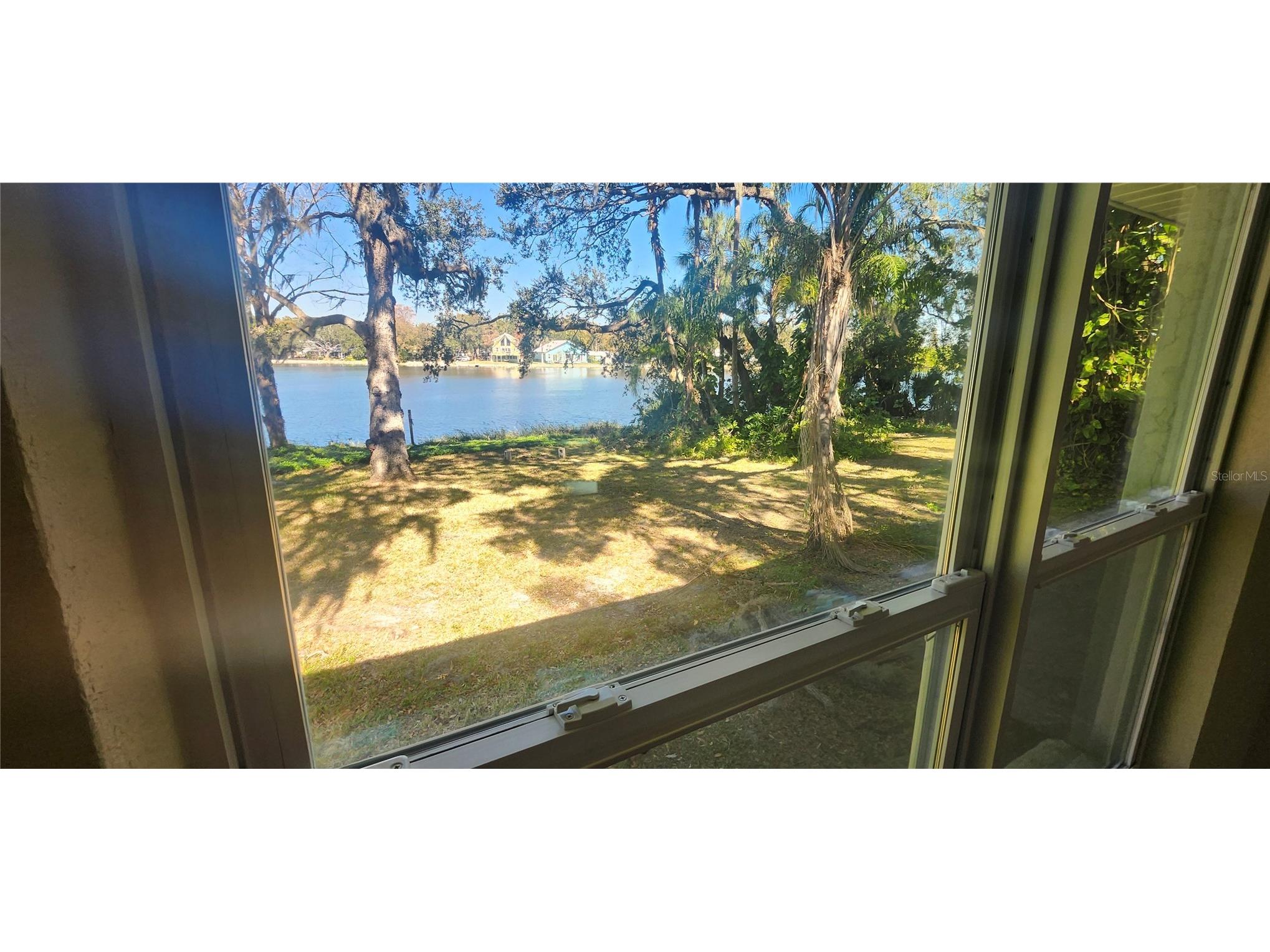 3606 River Grove Drive Tampa FL 33610 W7882573 image9