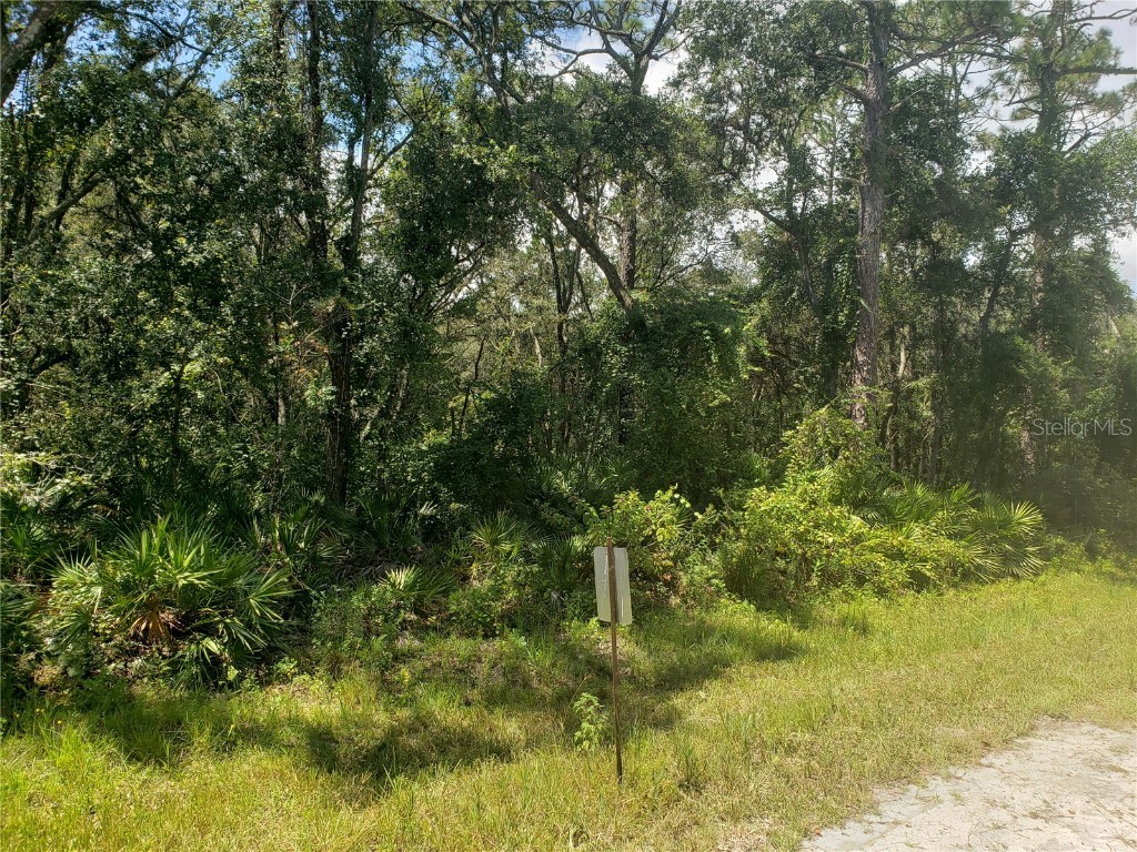 36064 Butternut Drive Webster FL 33597 G5072275 image1