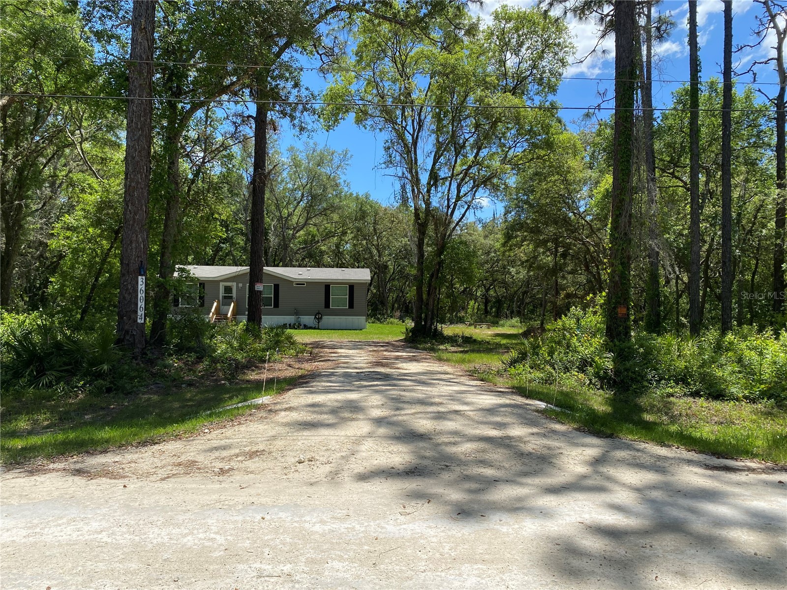 36064 Butternut Drive Webster FL 33597 TB8511523 image2