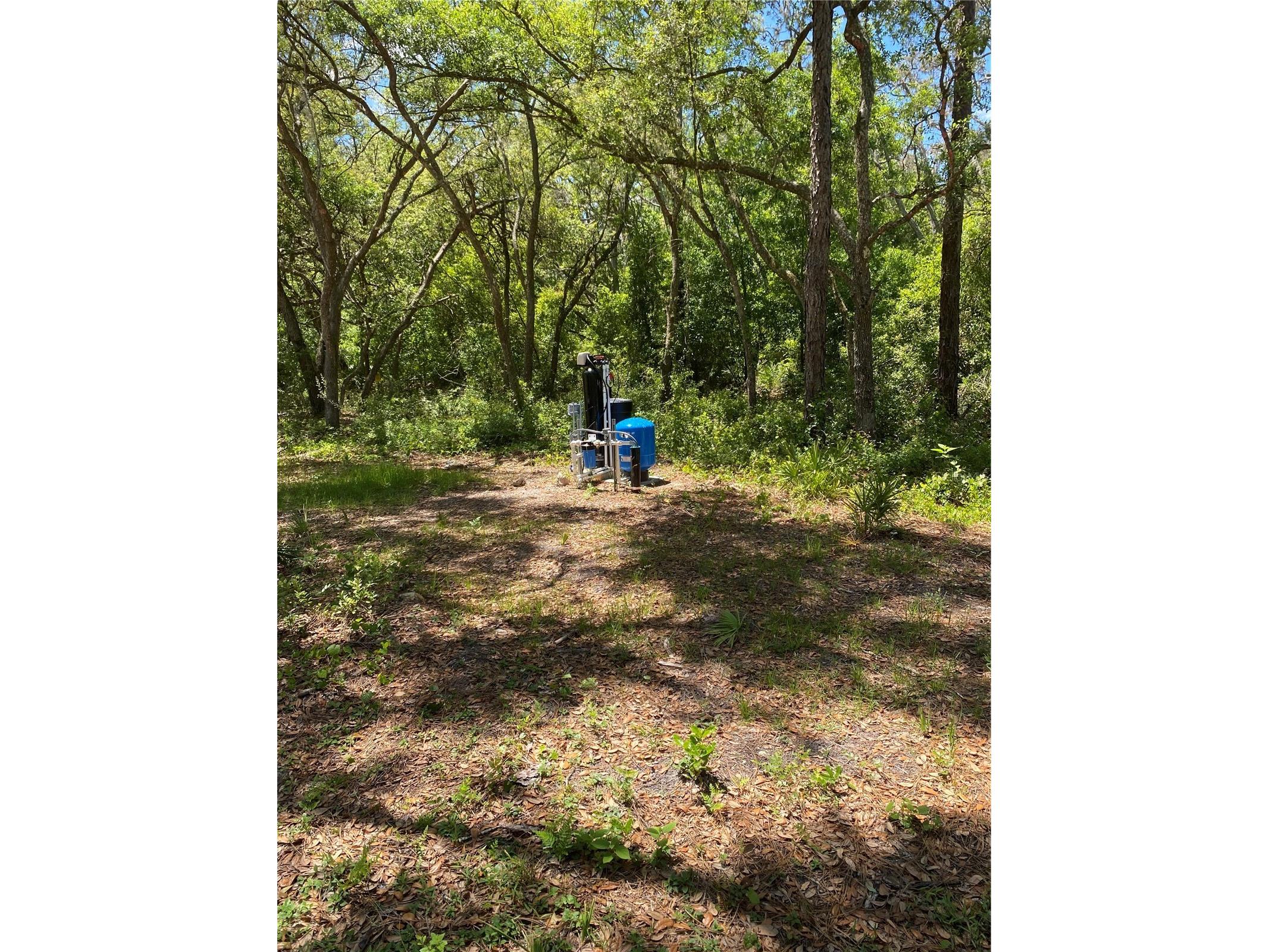 36064 Butternut Drive Webster FL 33597 TB8511523 image25