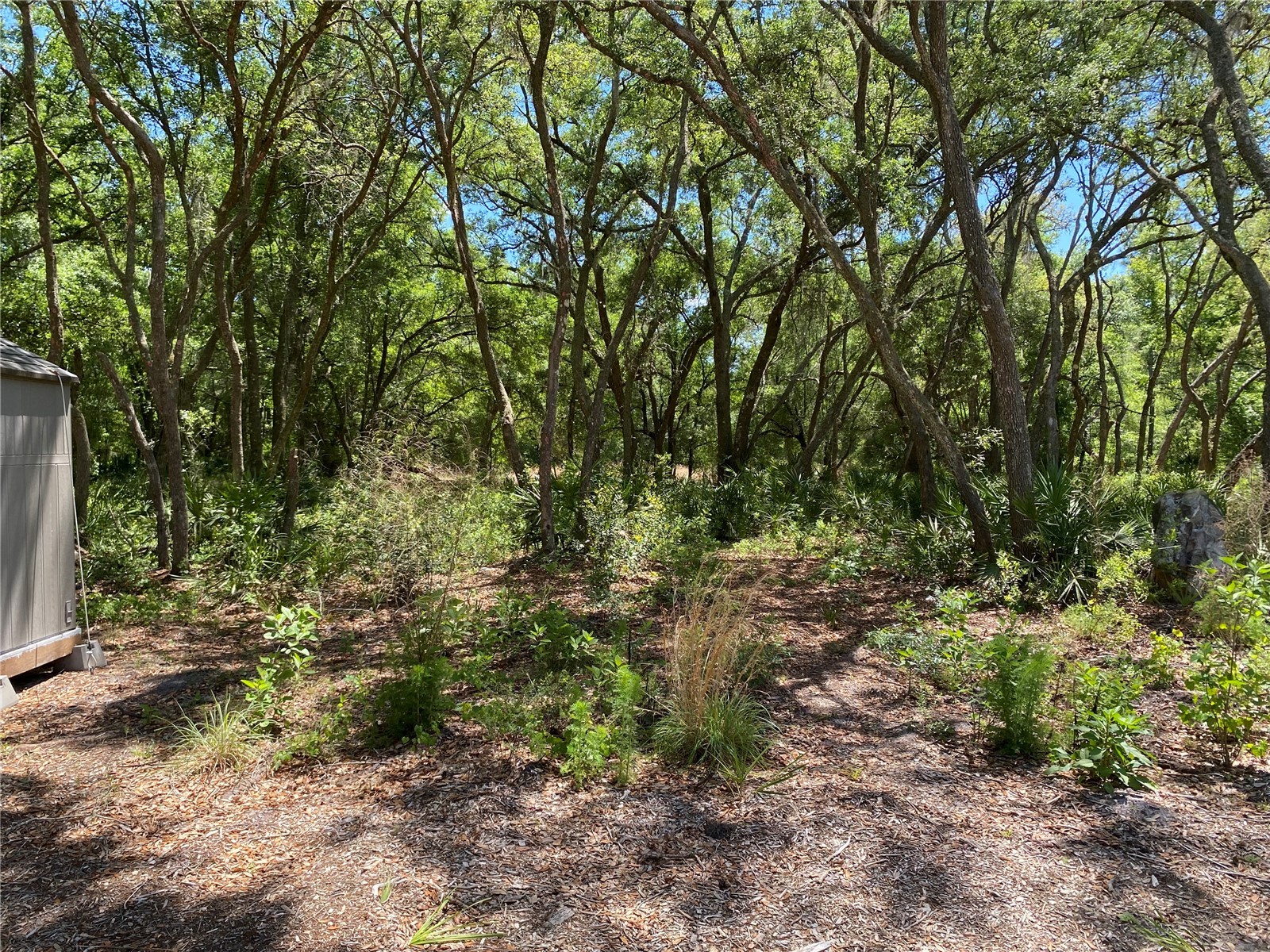 36064 Butternut Drive Webster FL 33597 TB8511523 image26