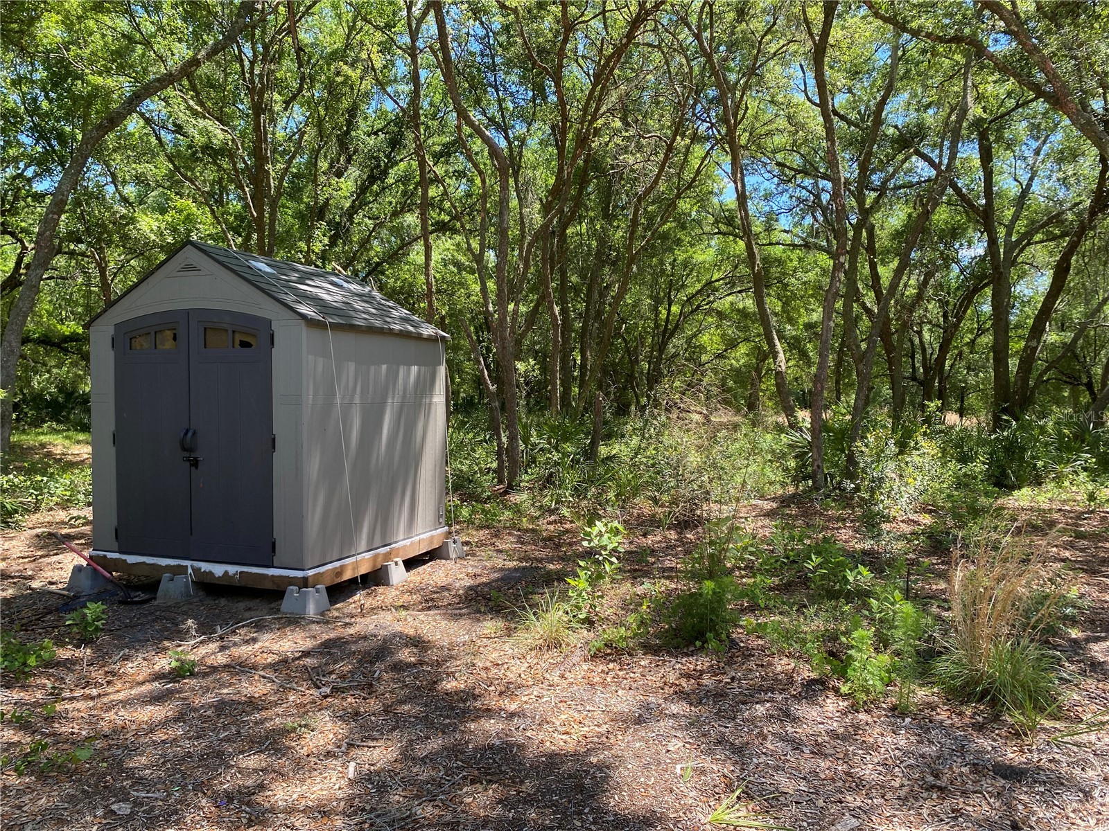 36064 Butternut Drive Webster FL 33597 TB8511523 image27