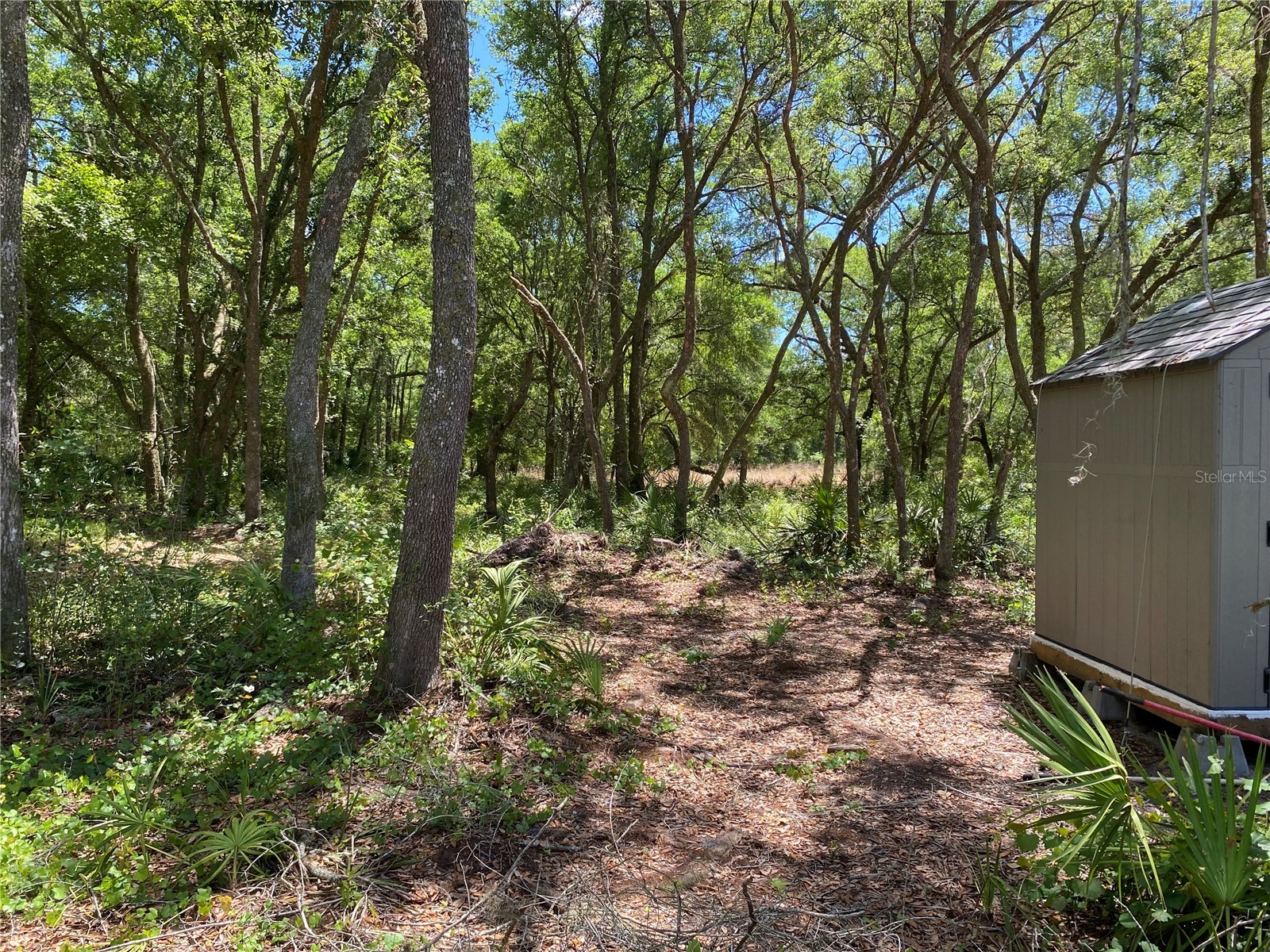 36064 Butternut Drive Webster FL 33597 TB8511523 image28