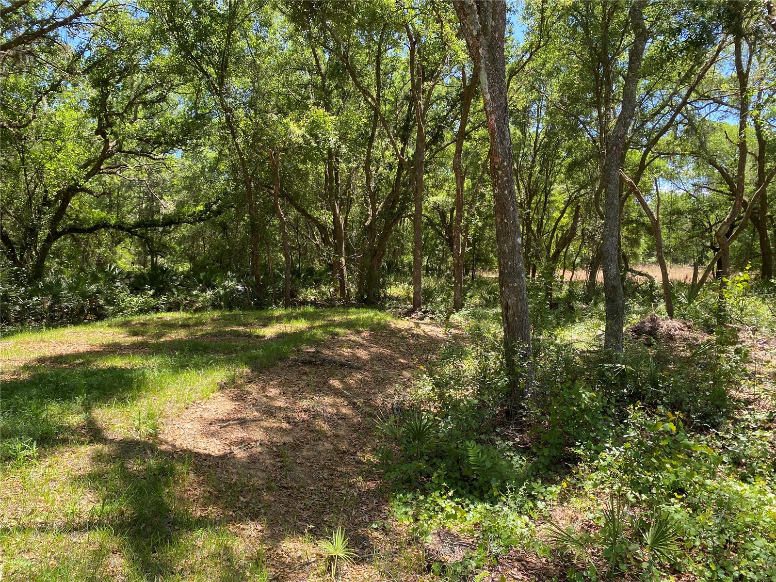 36064 Butternut Drive Webster FL 33597 TB8511523 image29
