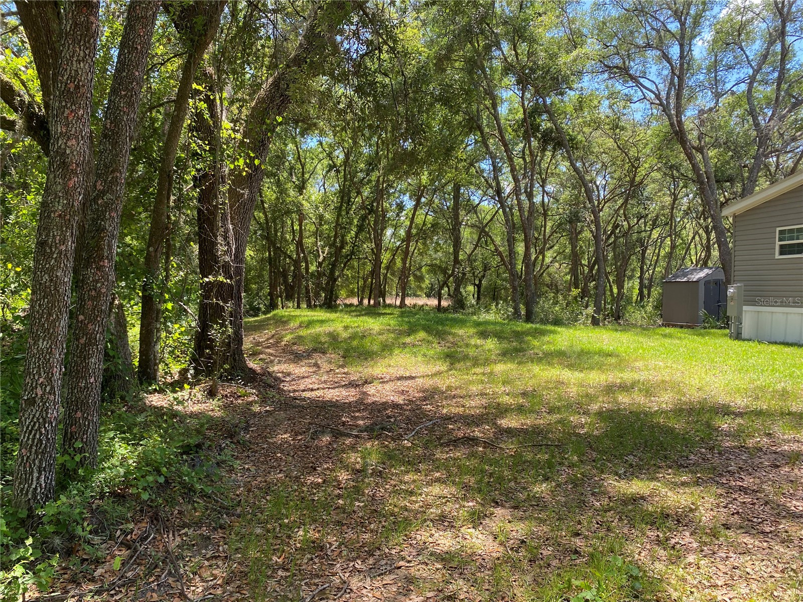 36064 Butternut Drive Webster FL 33597 TB8511523 image30