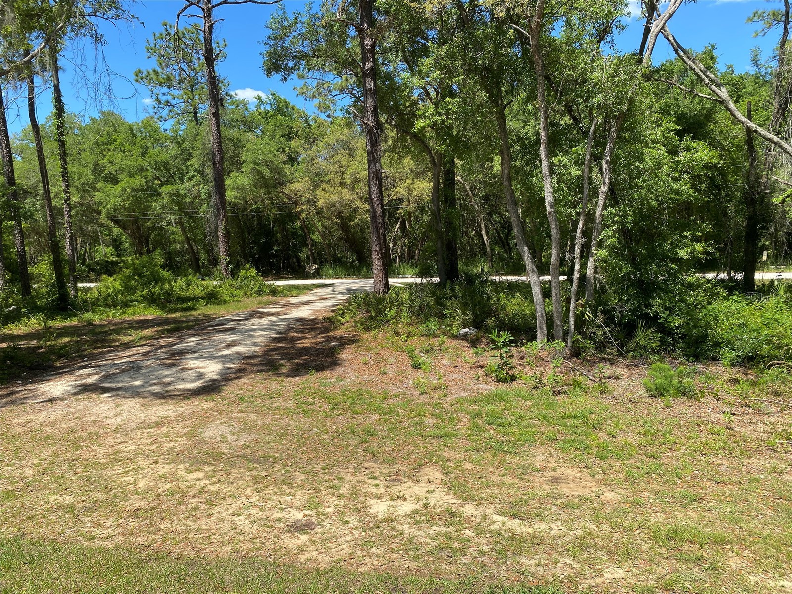 36064 Butternut Drive Webster FL 33597 TB8511523 image31