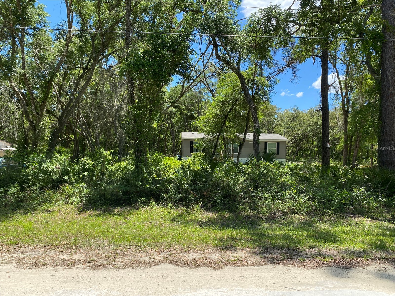 36064 Butternut Drive Webster FL 33597 TB8511523 image4
