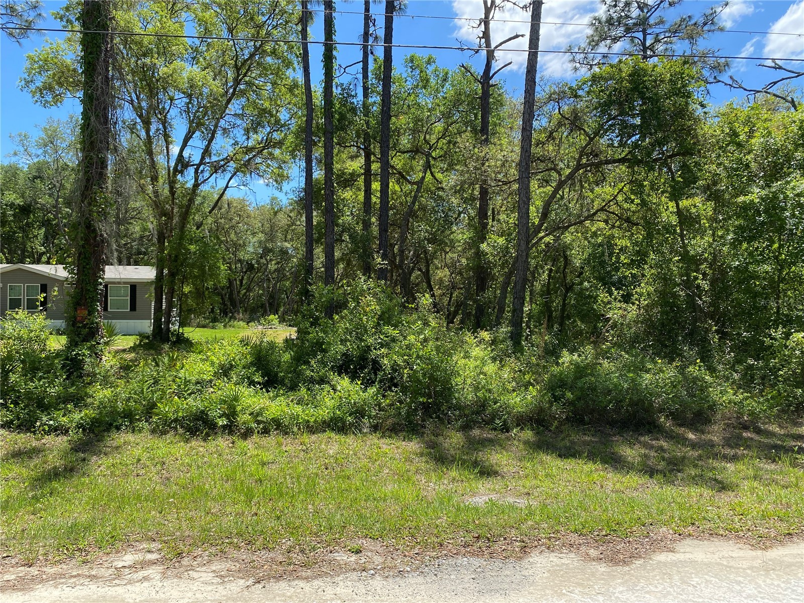 36064 Butternut Drive Webster FL 33597 TB8511523 image5