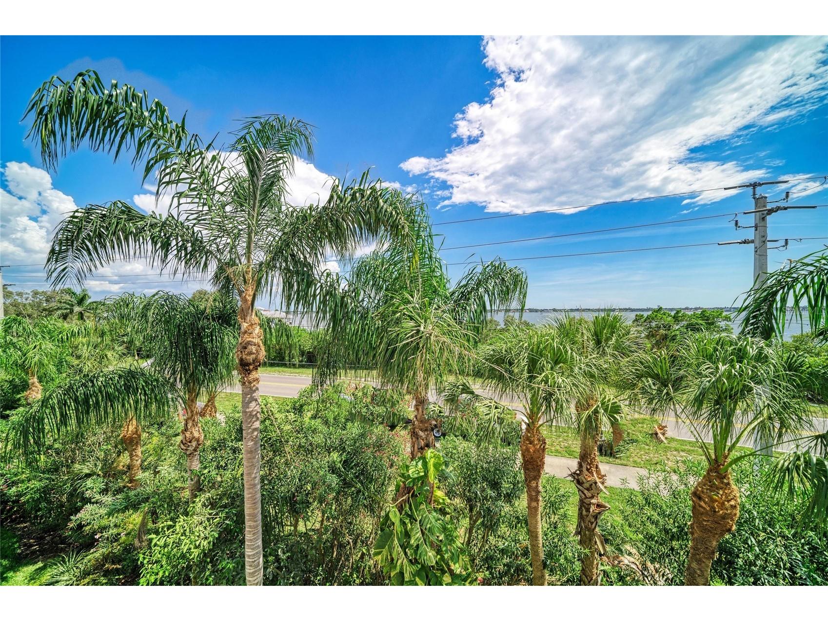 3607 10th Lane W Palmetto FL 34221 A4698824 image47