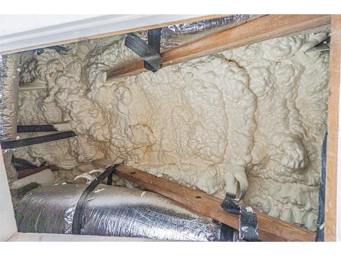 3607 E Hanna Avenue Tampa FL 33610 TB8451551 image26