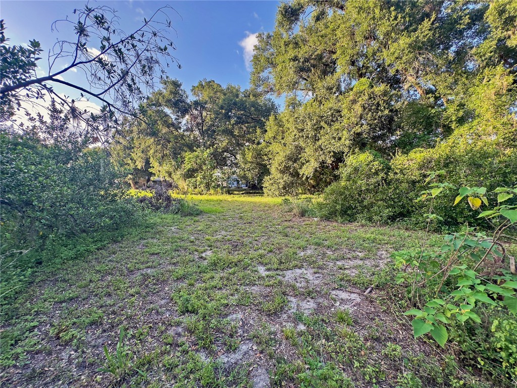 3607 E North Bay Street Tampa FL 33610 TB8397334 image10