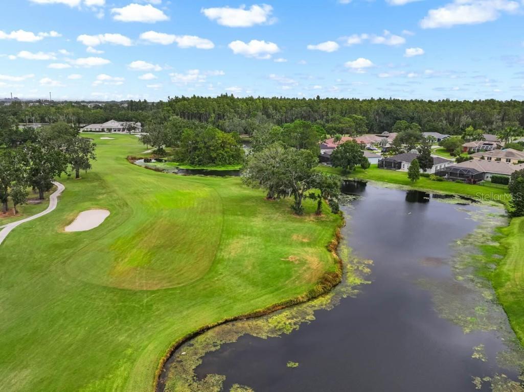 3607 Gaviota Drive Sun City Center FL 33573 O6349377 image35