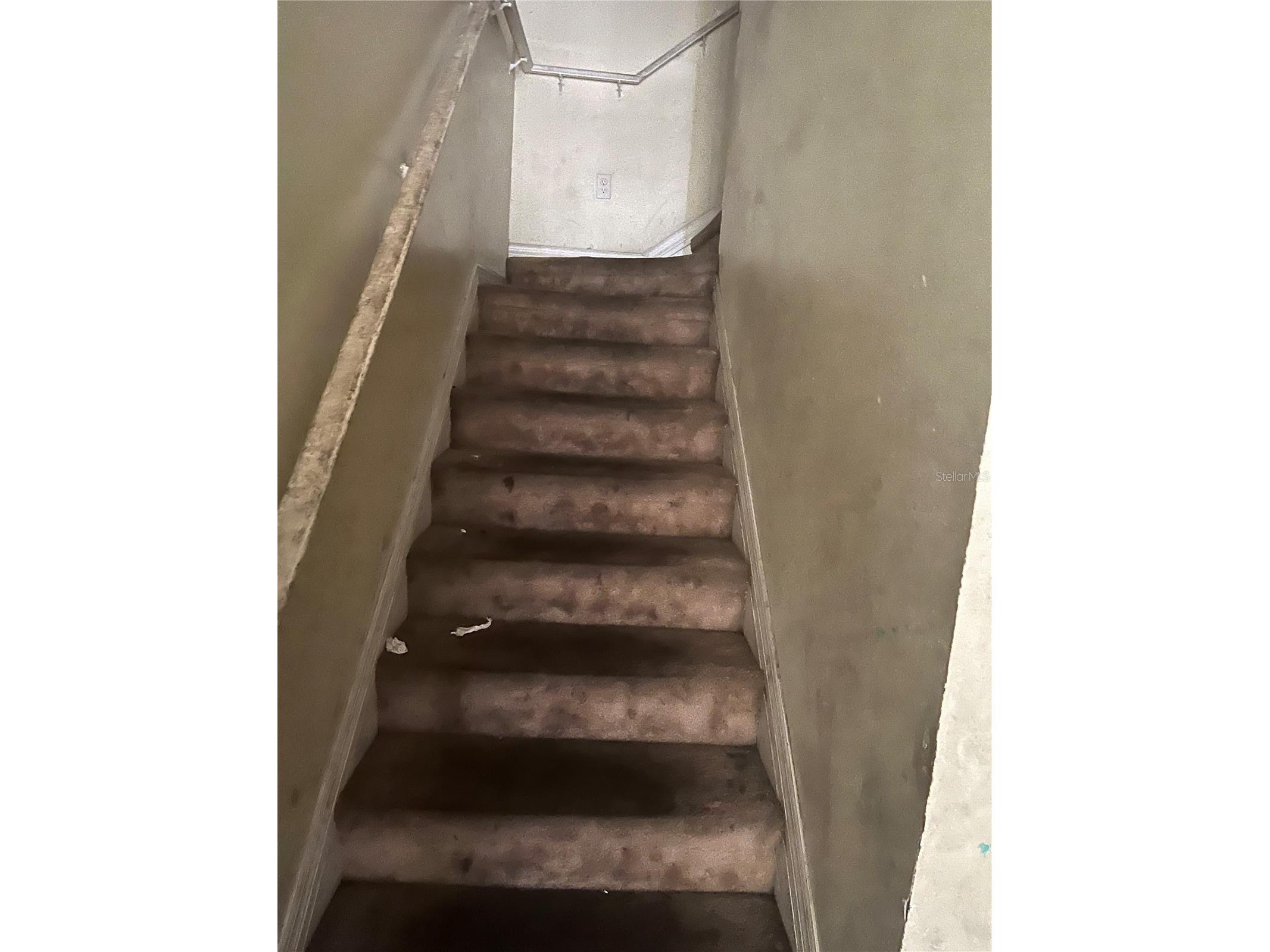 3607 N 52nd Street Tampa FL 33619 TB8457744 image9