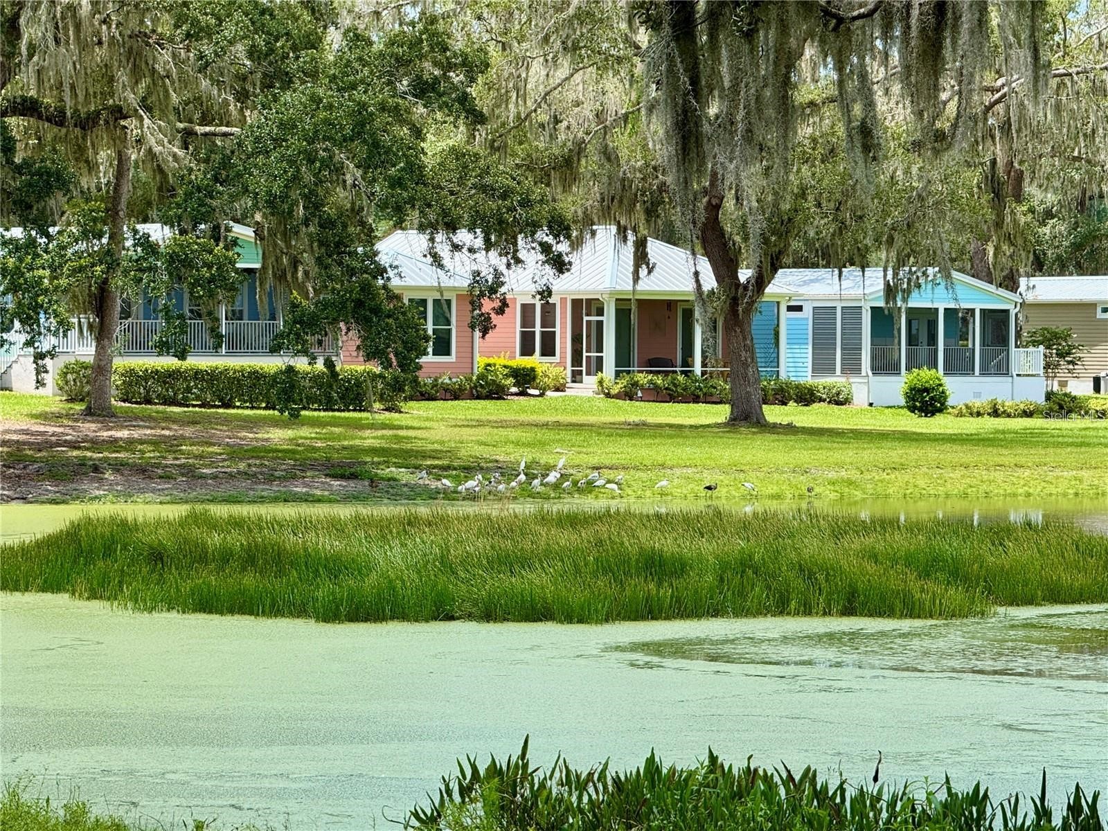 3607 Umbrella Tree Lane Oxford FL 34484 G5108758 image38