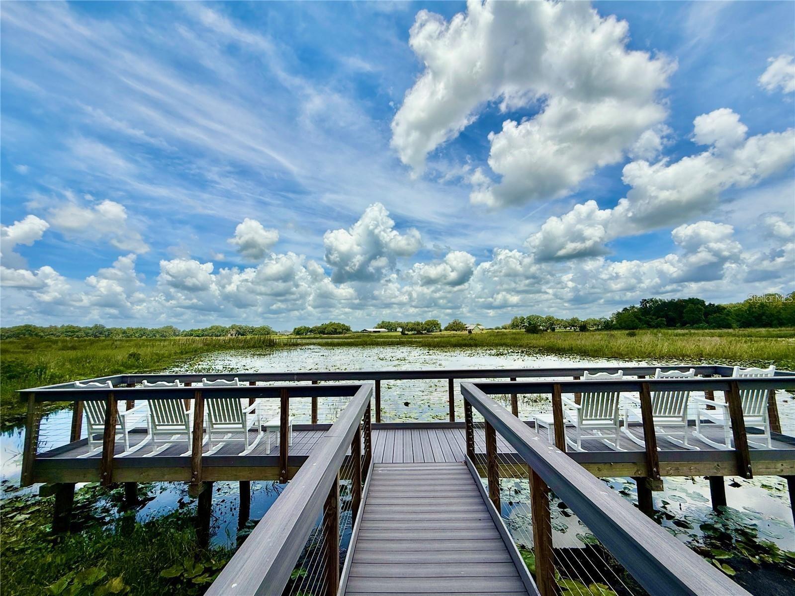 3607 Umbrella Tree Lane Oxford FL 34484 G5108758 image41