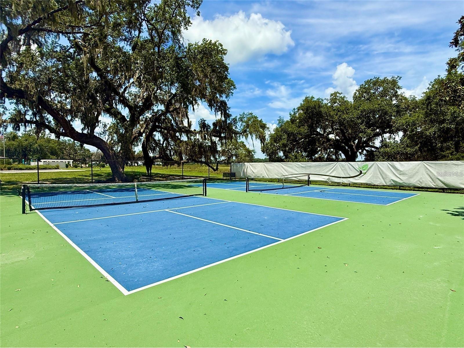 3607 Umbrella Tree Lane Oxford FL 34484 G5108758 image47