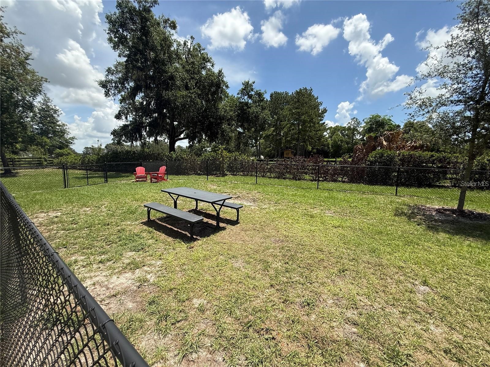 3607 Umbrella Tree Lane Oxford FL 34484 G5108758 image49