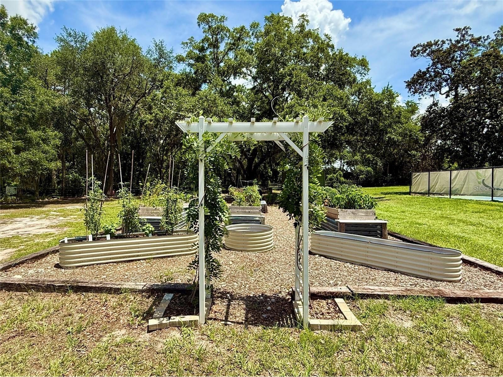 3607 Umbrella Tree Lane Oxford FL 34484 G5108758 image50