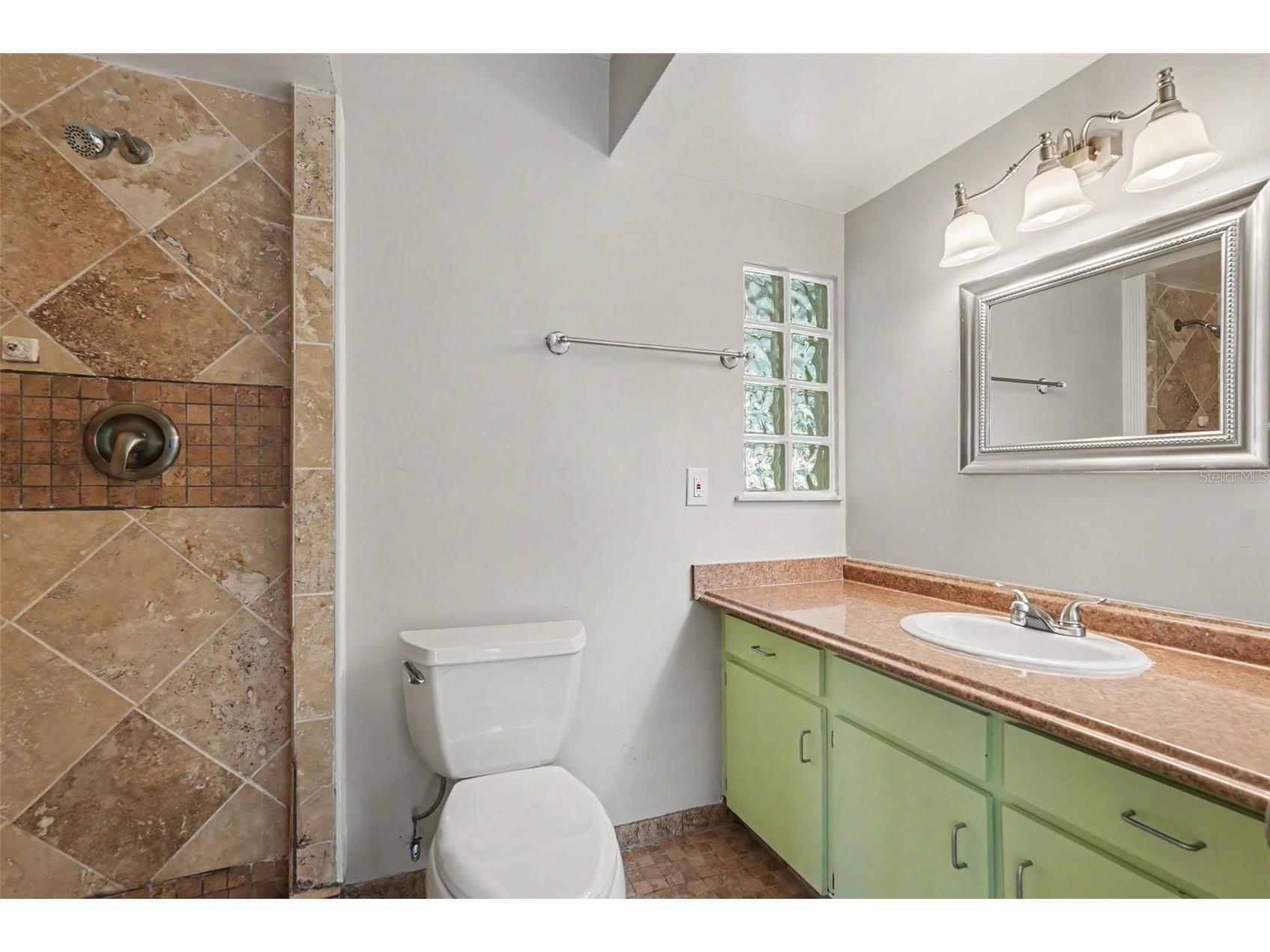 3607 Woodhill Drive Brandon FL 33511 O6418348 image14