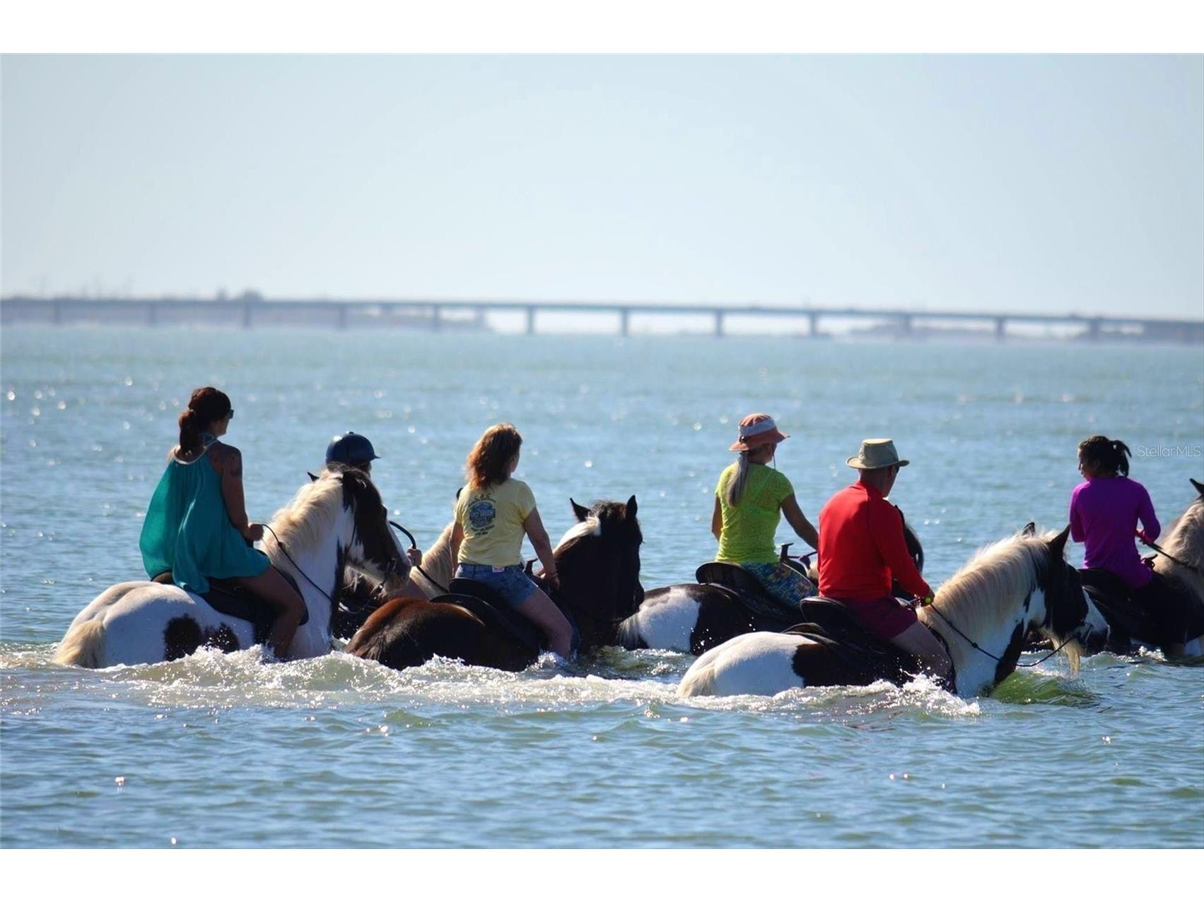 3608 54th Drive W #202 Bradenton FL 34210 A4679378 image70