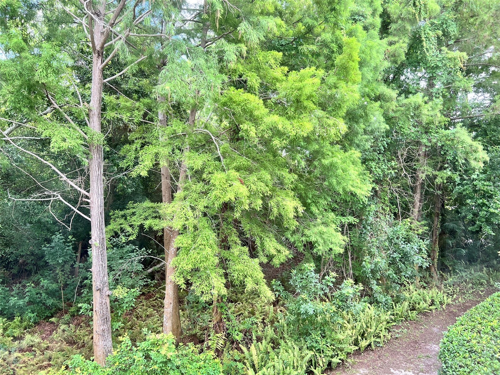 3608 54th Drive W #202 Bradenton FL 34210 A4696179 image25