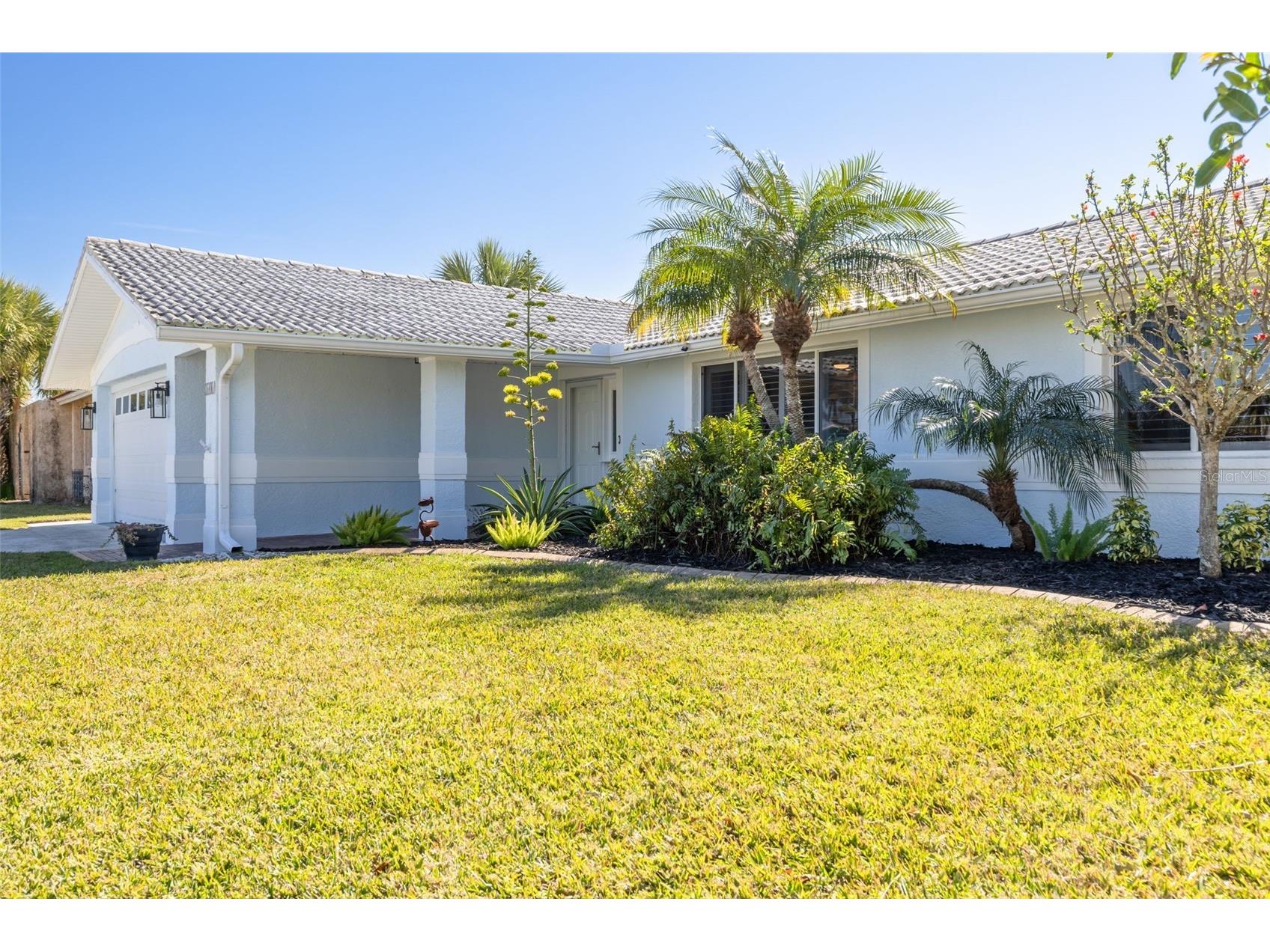 3608 Floramar Terrace New Port Richey FL 34652 W7882898 image43