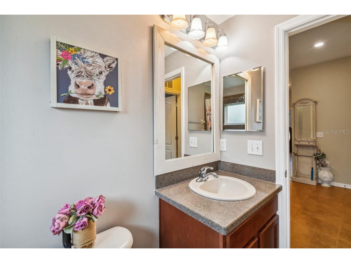 3608 Grecko Drive Wesley Chapel FL 33543 TB8411489 image14