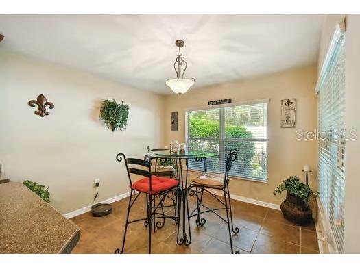 3608 Grecko Drive Wesley Chapel FL 33543 TB8411489 image19